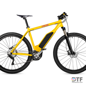 Custom Bike Decals